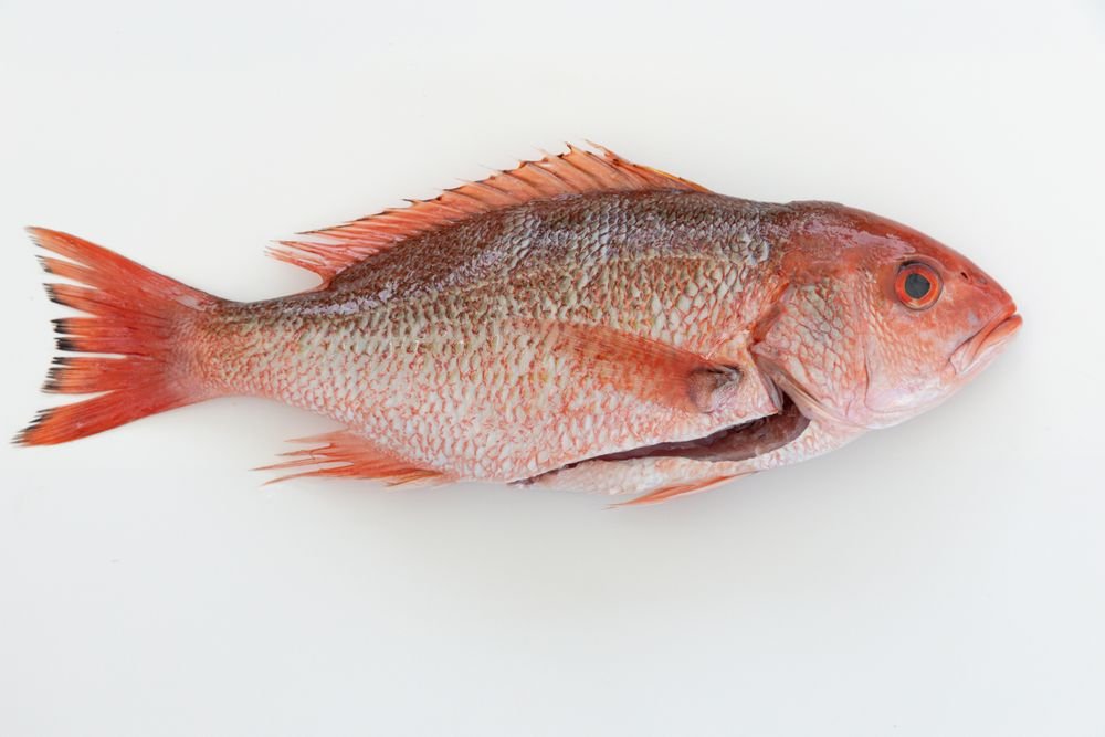 Pargo (Vermelho) Inteiro