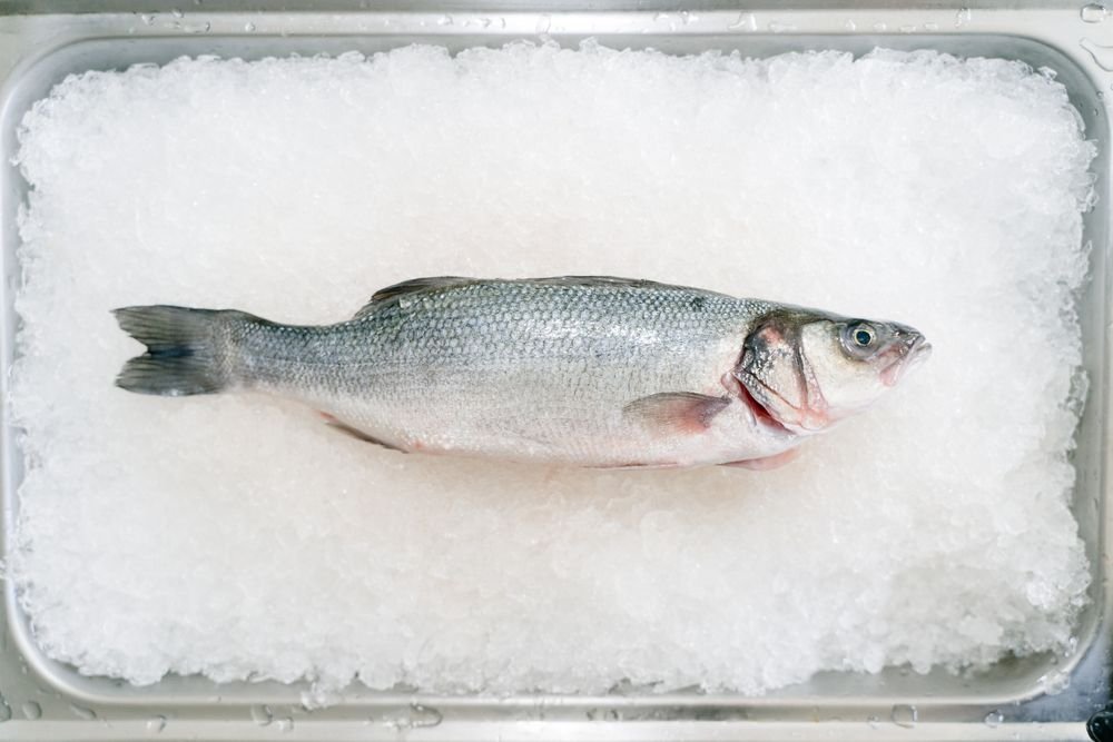 Pescada Amarela Inteira